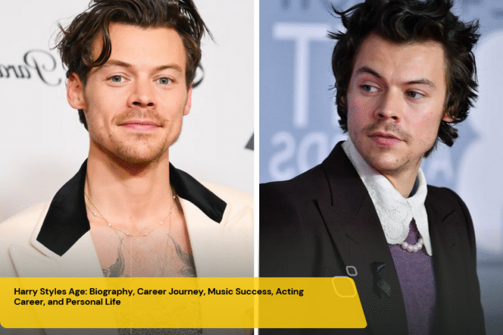 harry styles age
